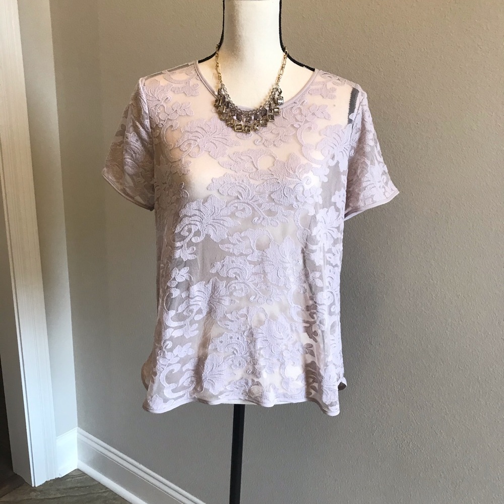 LThe Limited Mauve Lace Blouse-Size Medium